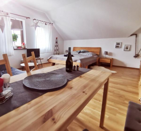 Moji Sousedi - Apartmán Červená Destne V Orlickych Horach